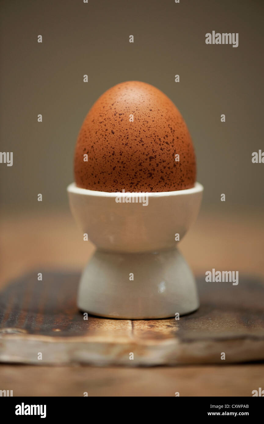Close up of egg in egg cup Stock Photo