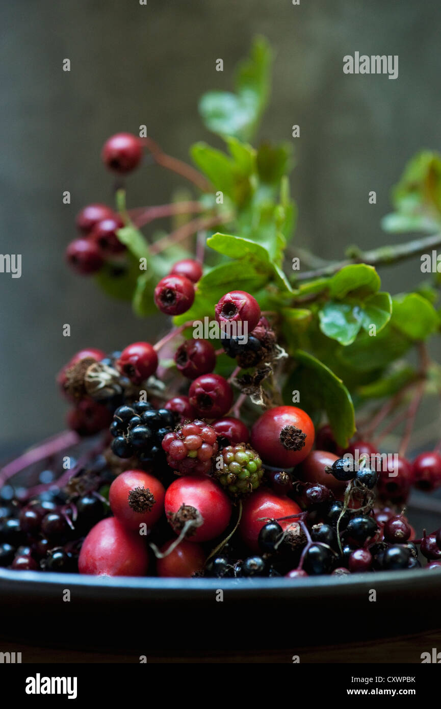 Plate of mixed wild berries Stock Photo
