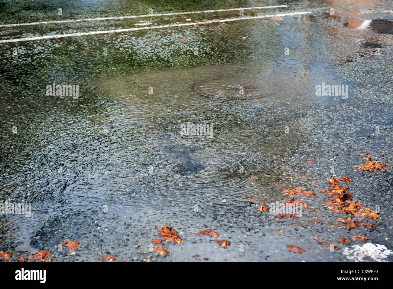 Burst water main pipe flooding road with cars going past Stock Photo