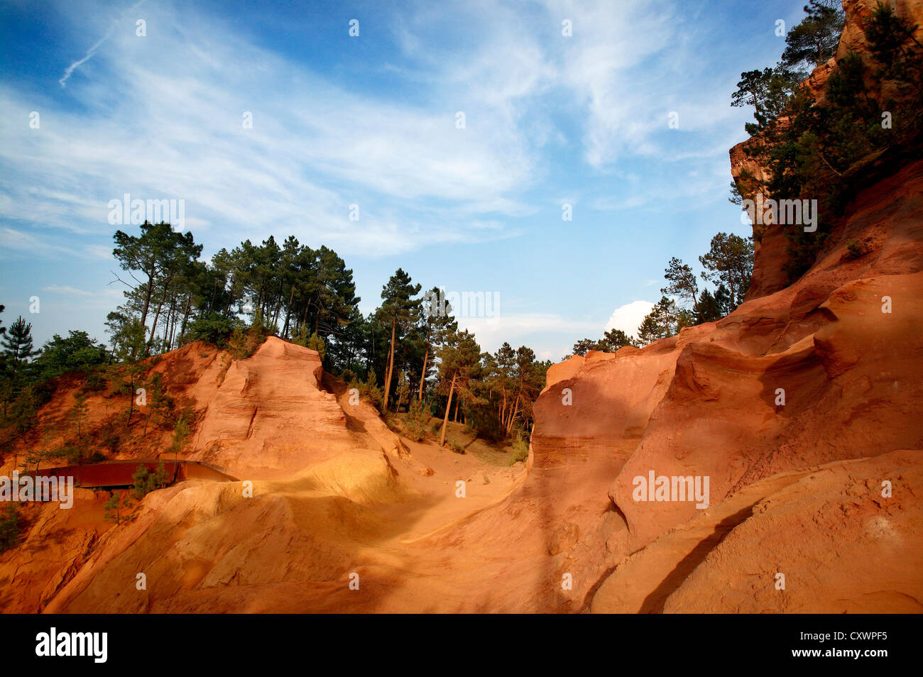 Trees growing on desert hills Stock Photo Alamy