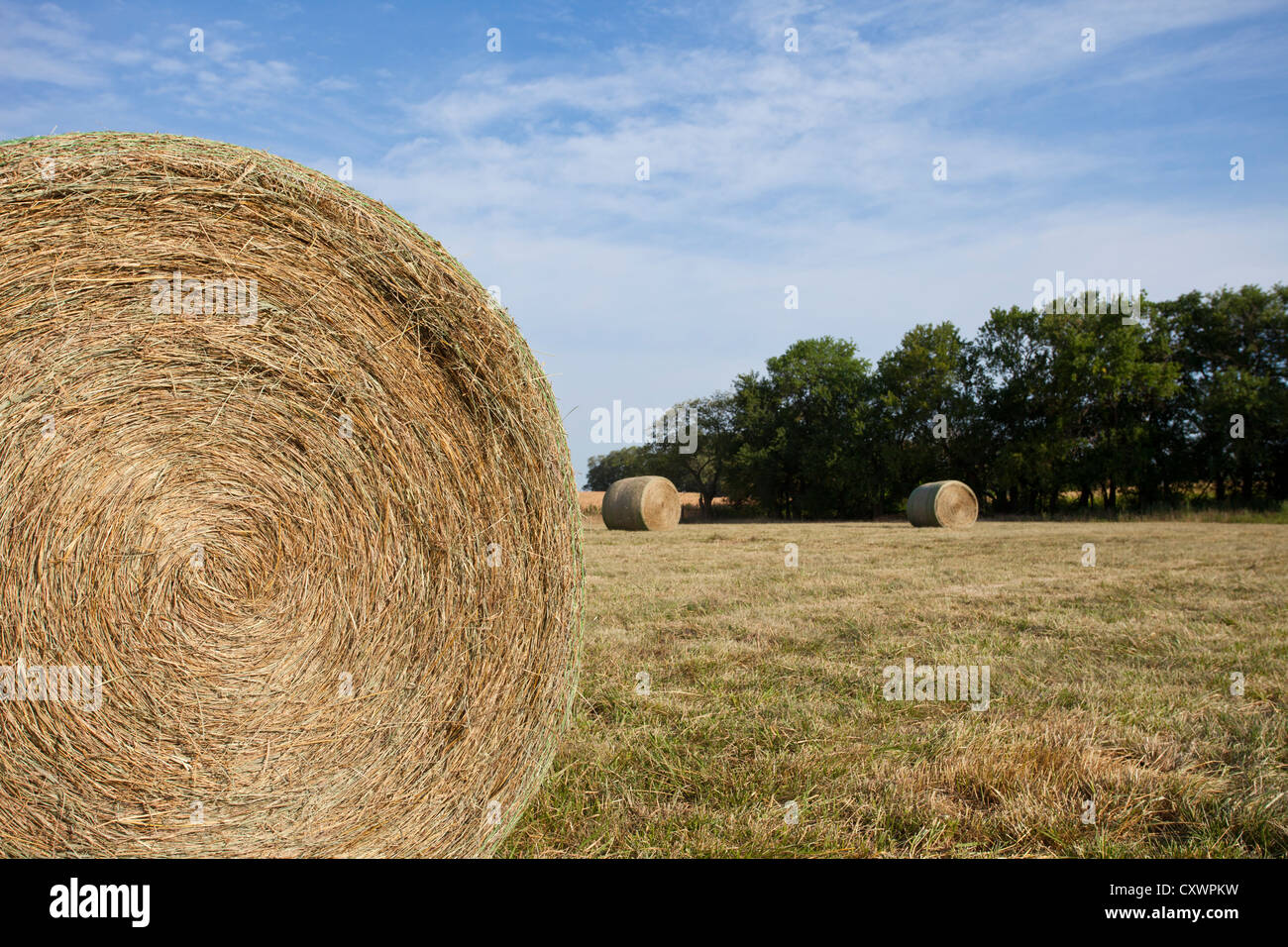 Close up of hay bale in field Stock Photo