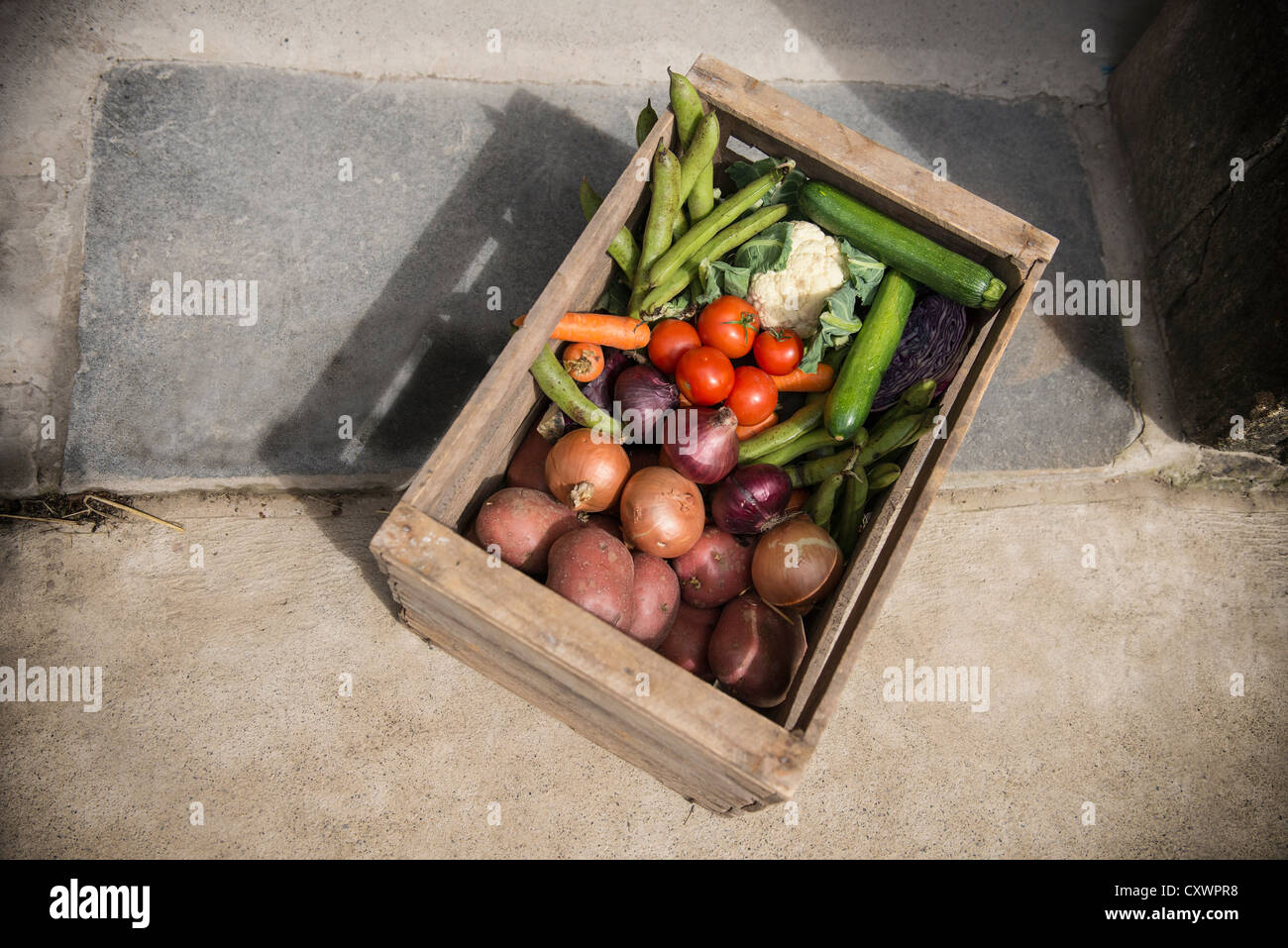 Wooden crate of vegetables Stock Photo Alamy