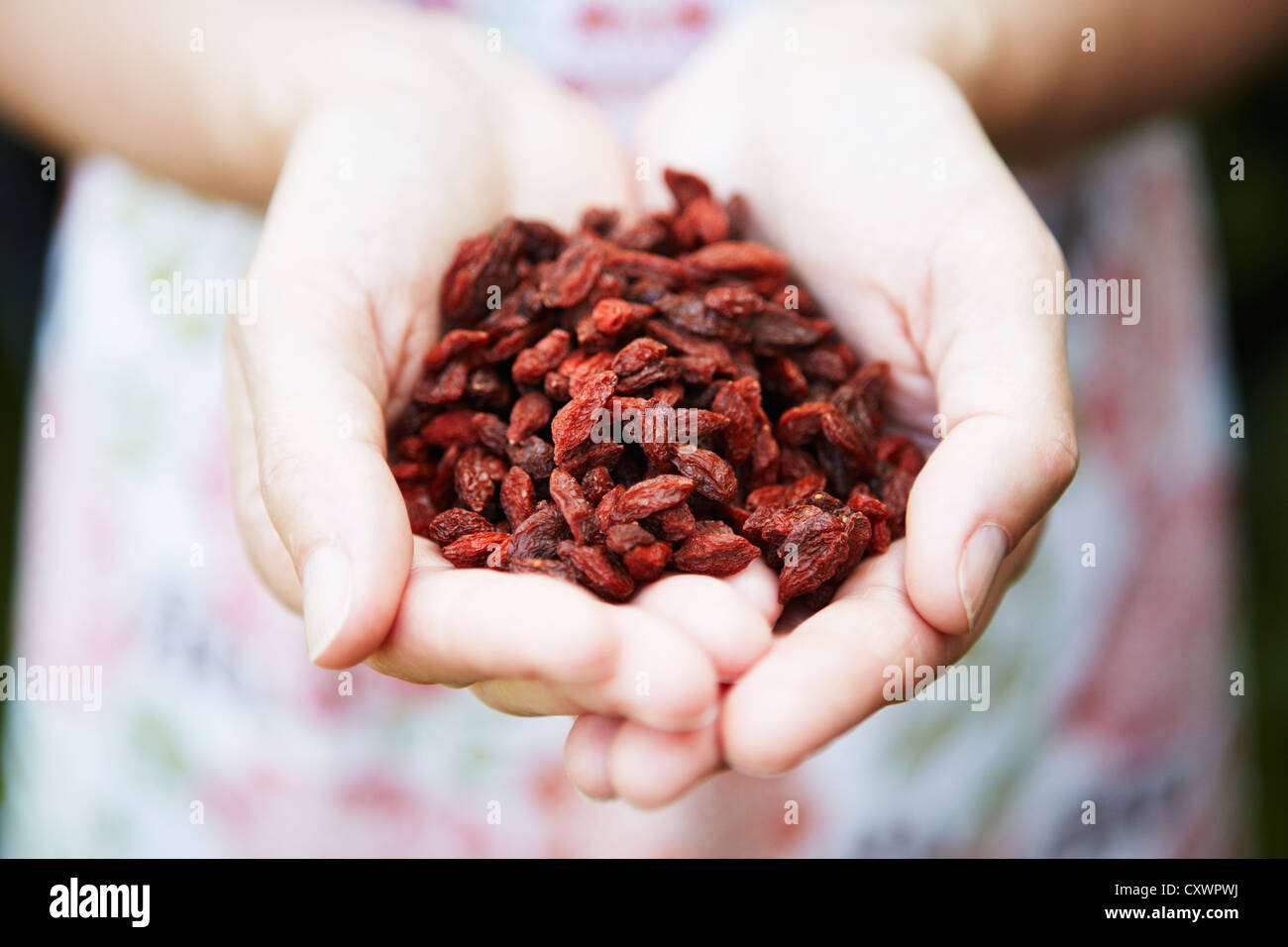Woman Holding Handful Of Goji Berries Stock Photo
