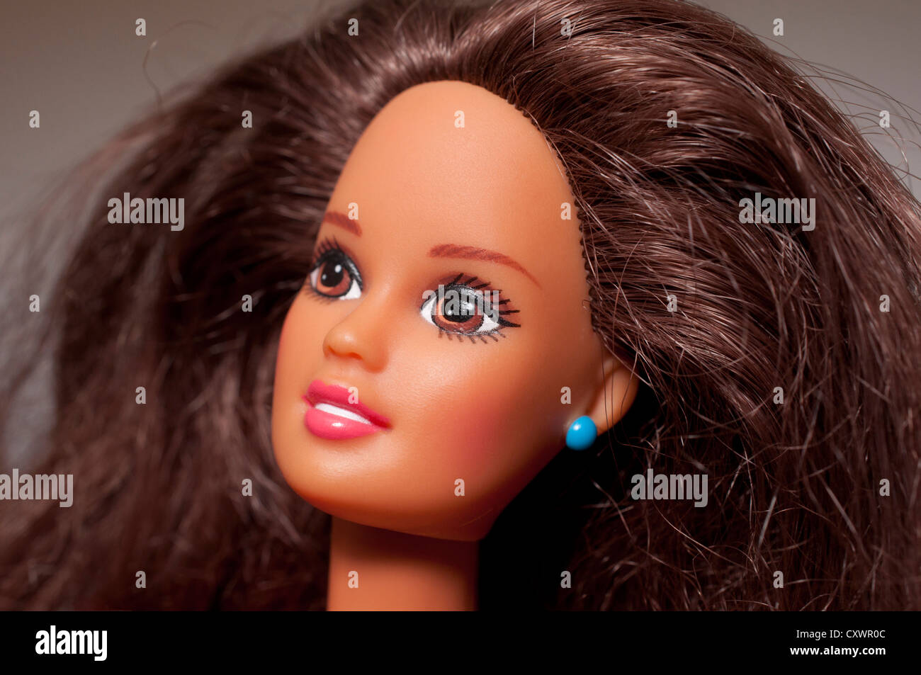 brunette barbie dolls