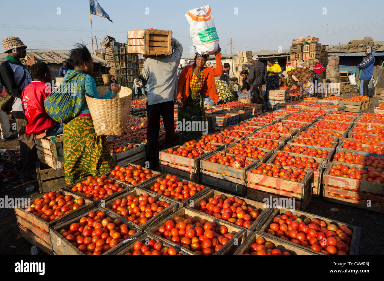 Tomato for sale at the Soweto wholesale fresh market. Lusaka. Zambia. Stock Photo