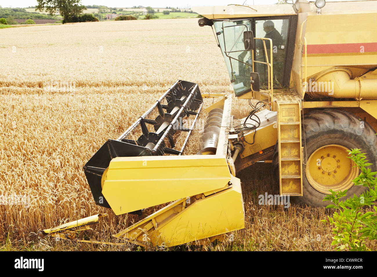 Crop field in motion hi res stock photography and images Alamy Crop field in motion hi res stock photography and images Alamy