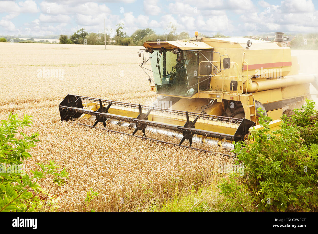 Crop field in motion hi res stock photography and images Alamy Crop field in motion hi res stock photography and images Alamy