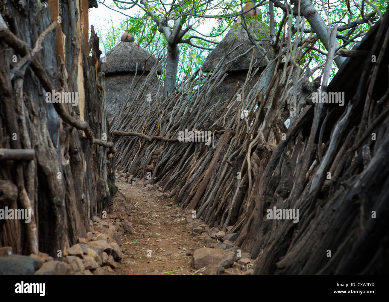 Security System, Fences In Konso Tribe Village, Omo Valley, Ethiopia Stock Photo Alamy