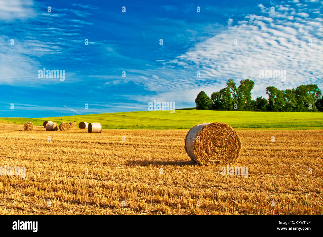 bale of straw with a blue sky Stock Photo - Alamy