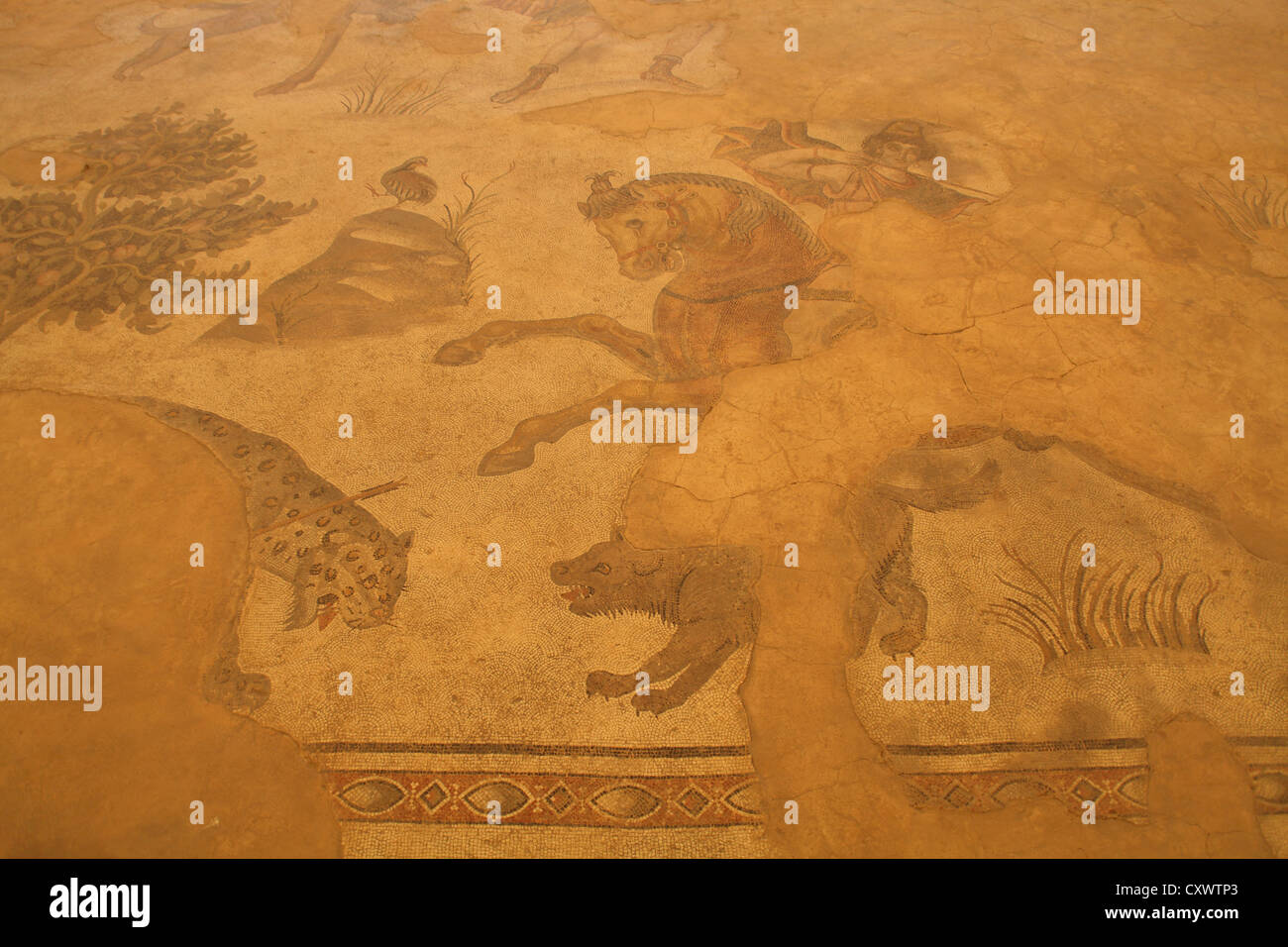 Halepli Bahce mosaic showing Amazon queen killing a leopard 5th century AD, Sanliurfa south east Turkey Stock Photo