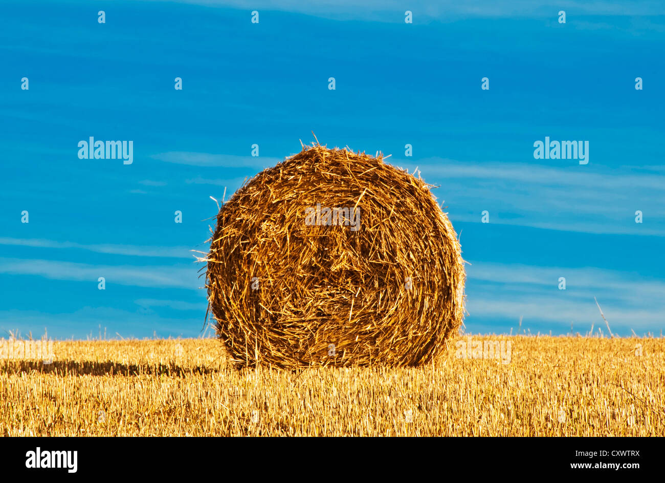 bale of straw with a blue sky Stock Photo - Alamy