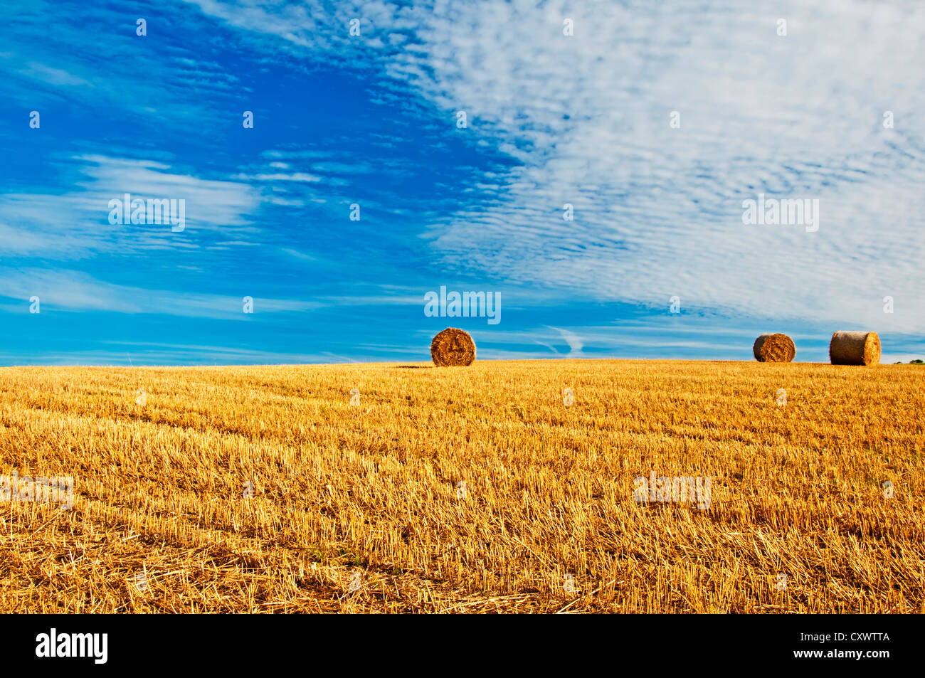 bale of straw with a blue sky Stock Photo - Alamy