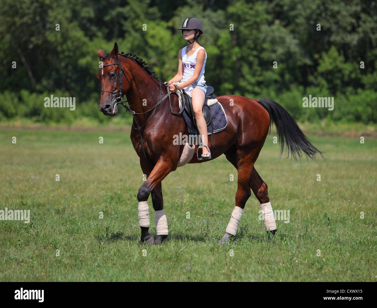 Young equestrian riding her horse Stock Photo