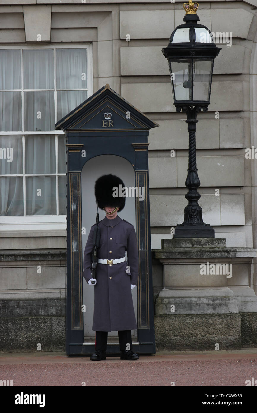 A Buckingham Palace Guard London, Londra, city, europe, buckingham palace, Buckingham Palace, photoarkive Stock Photo