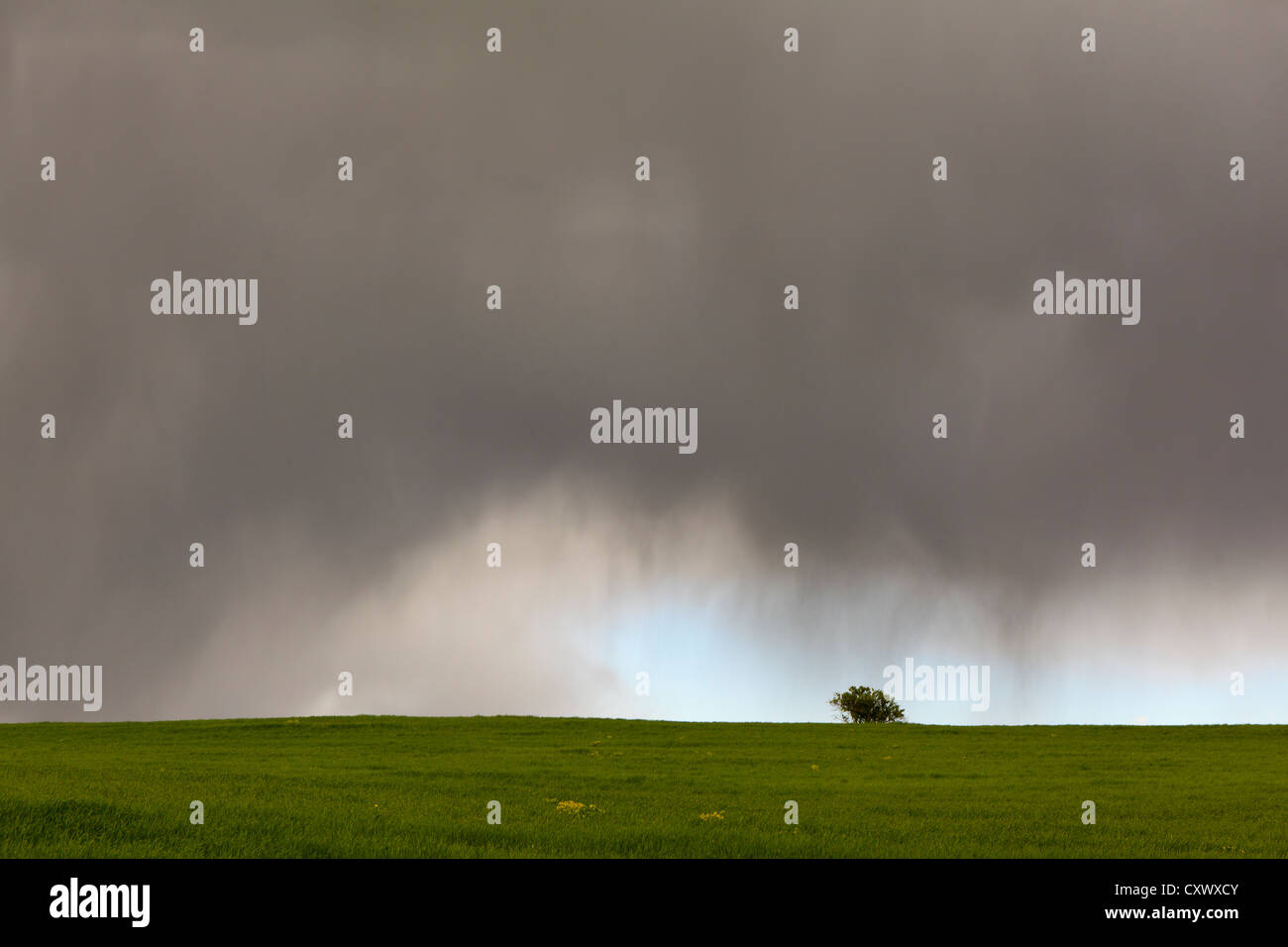 Cultivated fields with dark storm clouds. Lleida. Catalonia. Spain. Stock Photo
