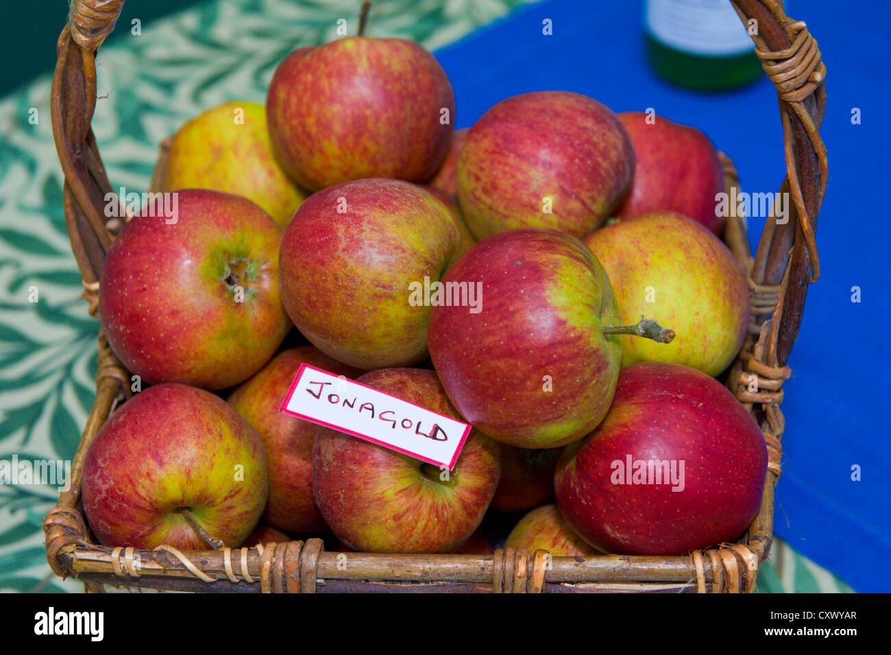 Jonagold apples in basket on display during Big Apple Day at Much
