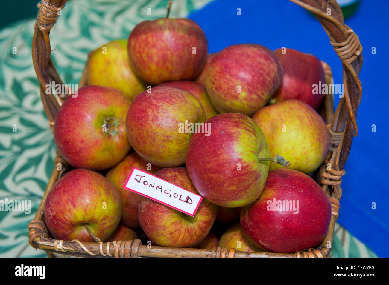 Jonagold apples in basket on display during Big Apple Day at Much