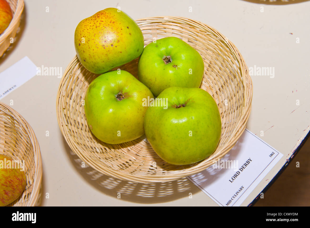 derby basket