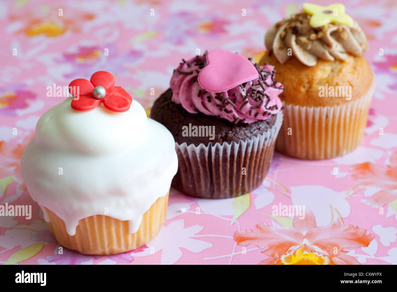 Luxury muffins on colorful pink background still life Stock Photo Alamy