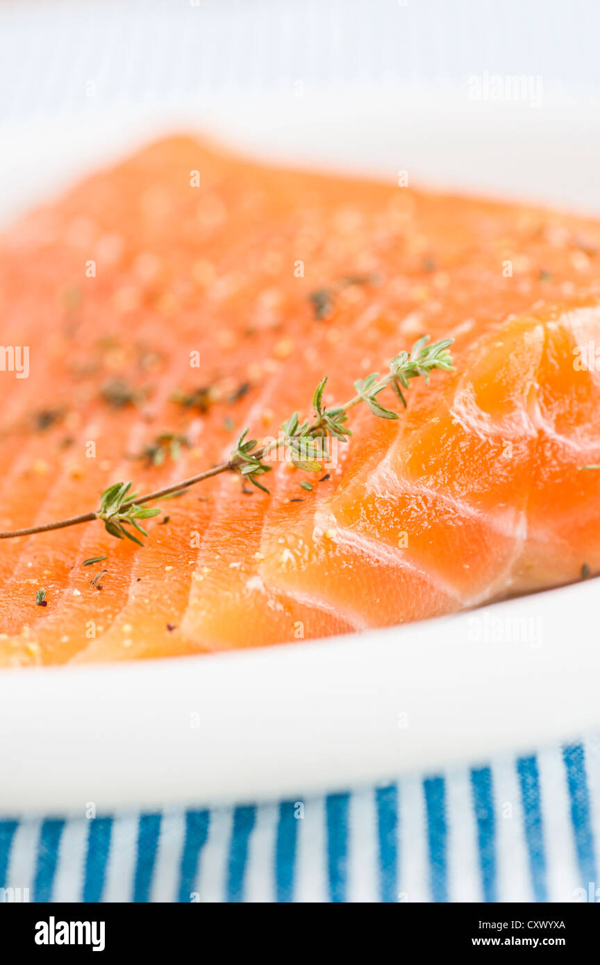 Closeup of uncooked salmon on a white plate Stock Photo
