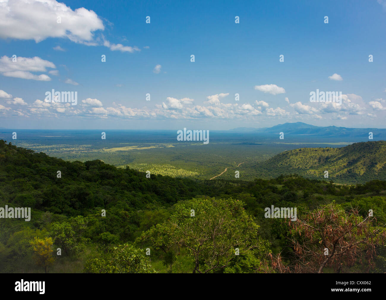 Landscape Of Mago Park, Omo Valley, Ehtiopia Stock Photo - Alamy