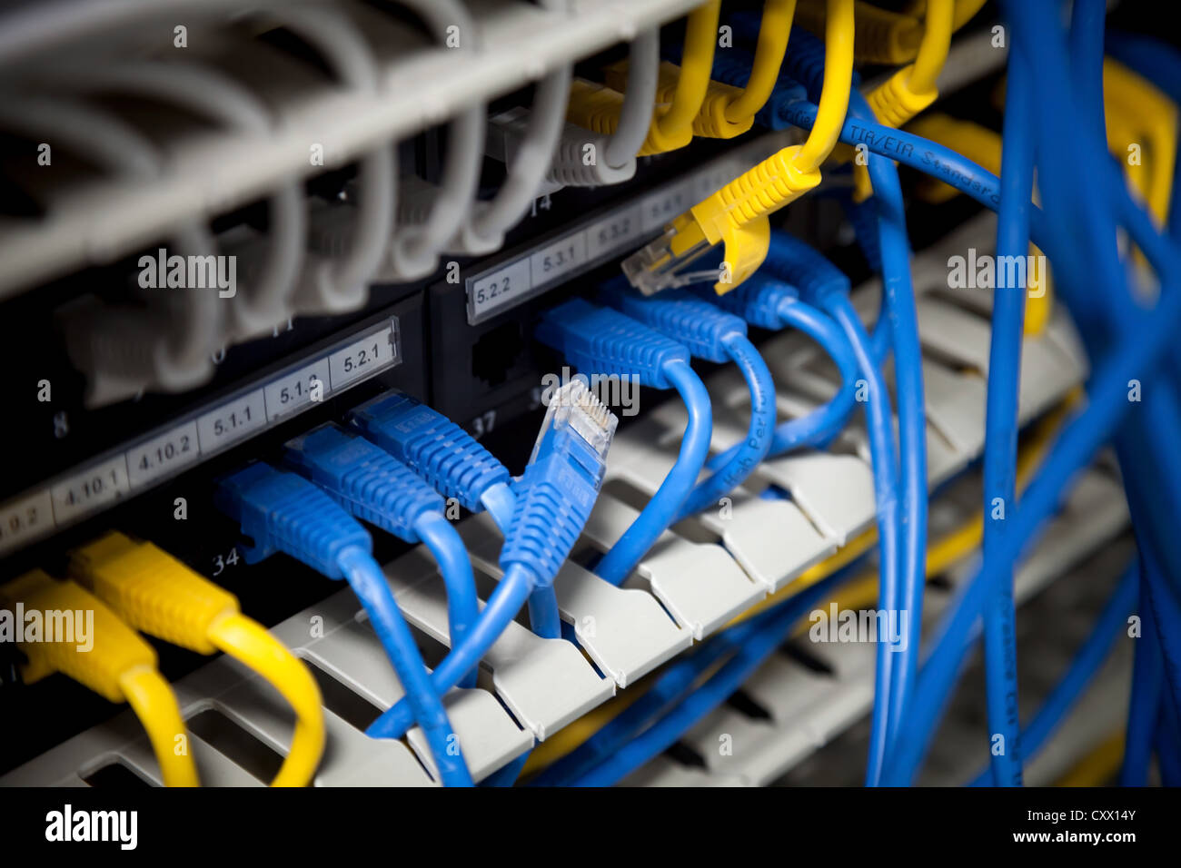Large network hub and connected blue and yellow cables. Selective focus Stock Photo