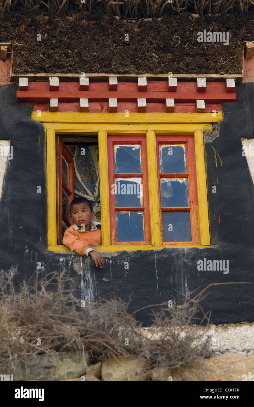 A young boy looks out from a window in Kibber village, Spiti, Northern India Stock Photo
