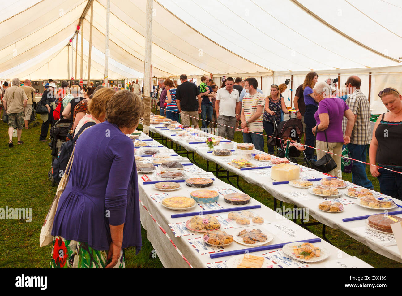 People looking at the cakes in the baking competition tent, Mid-Somerset Show, UK Stock Photo