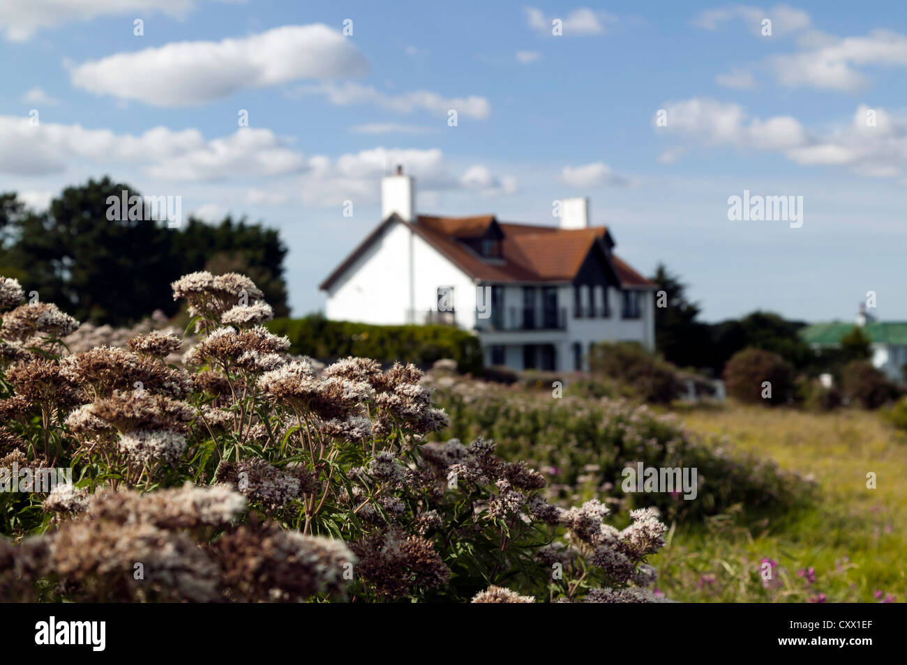 Cliff-top house viewed from near Oldstairs Bay, at the start of the clifftop  section of the Saxon Shore Way, Kent. Stock Photo
