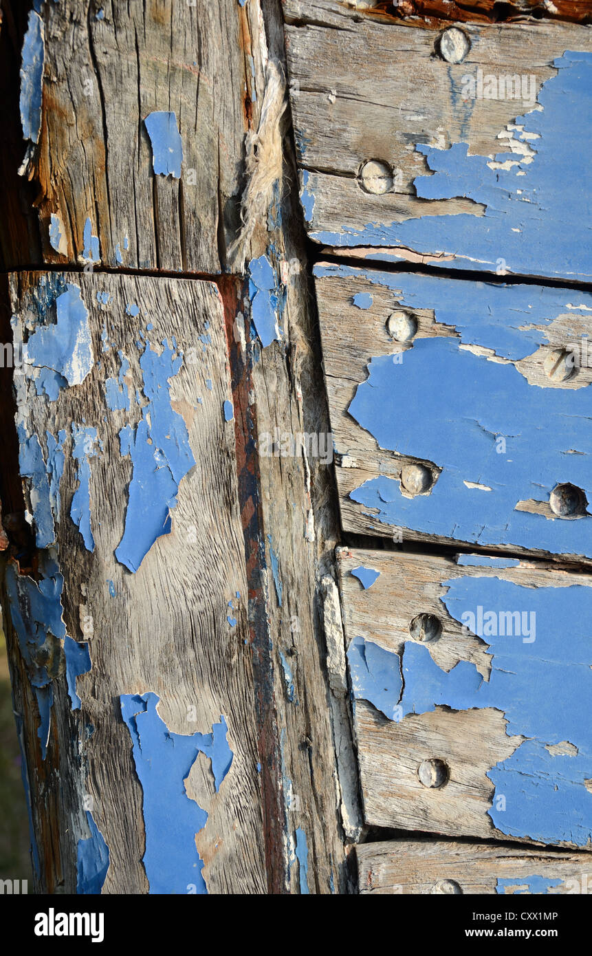 Old Flaking or Peeling Blue Paint on Hull of Rotten Old Wooden Boat Stock Photo