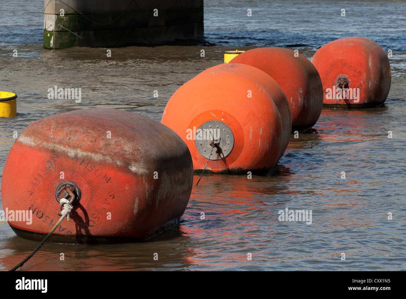 Line of orange mooring buoys on River Thames, London Stock Photo Alamy