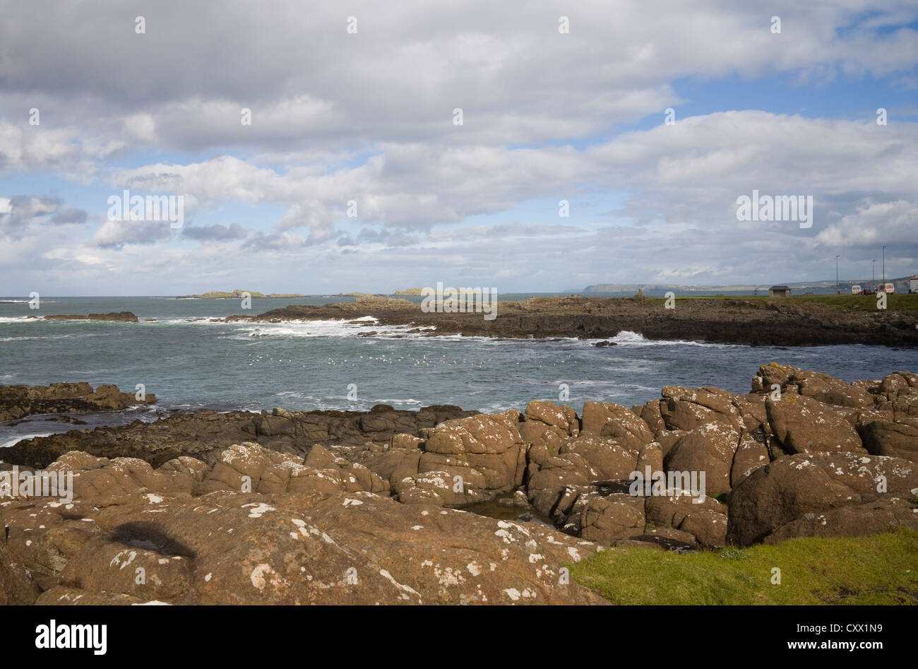 Portrush County Antrim Northern Ireland September Ramore Head a basalt
