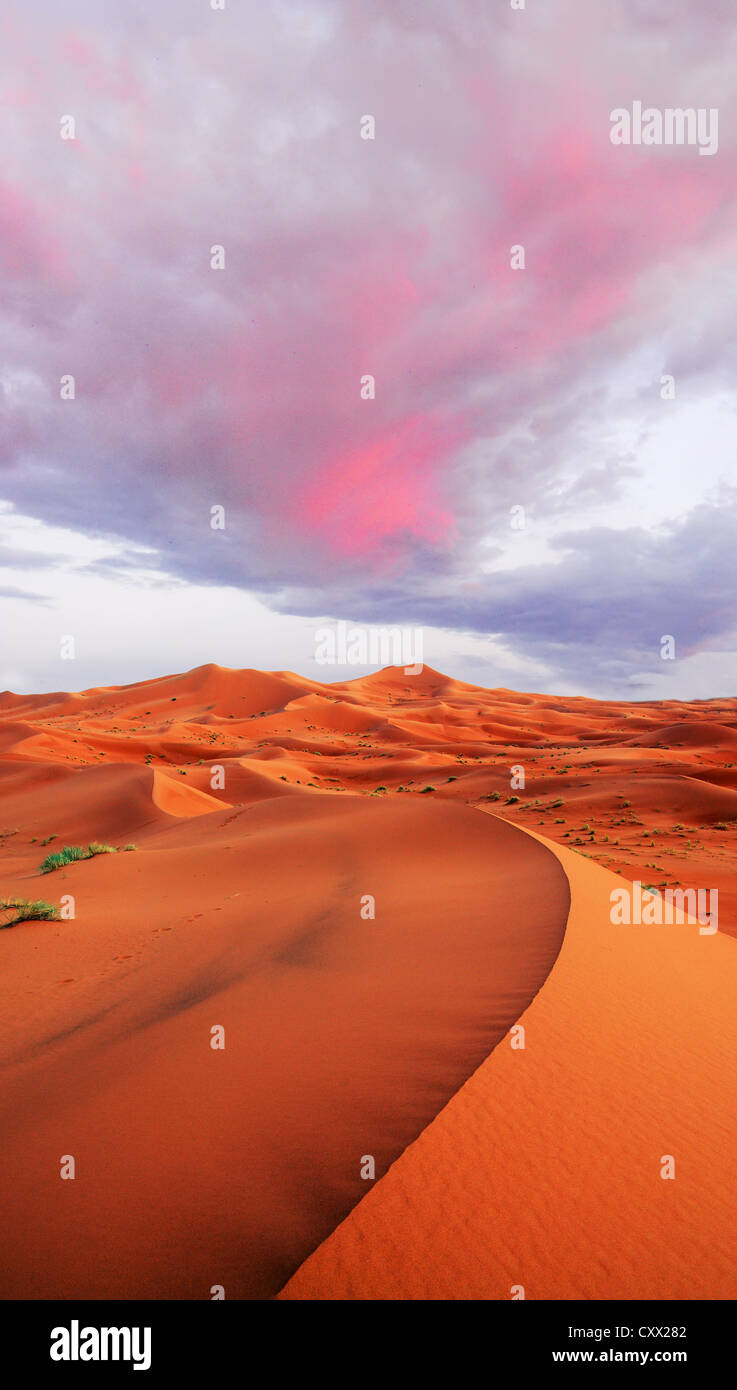 Dunes shaped by the wind and time Stock Photo