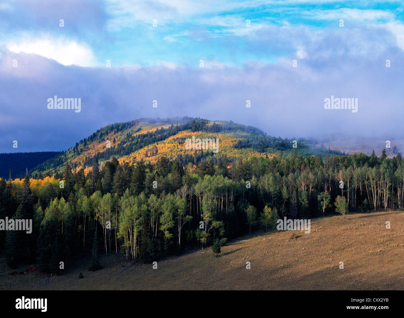 White Mountains of Eastern Arizona. Escudilla Mountain with golden