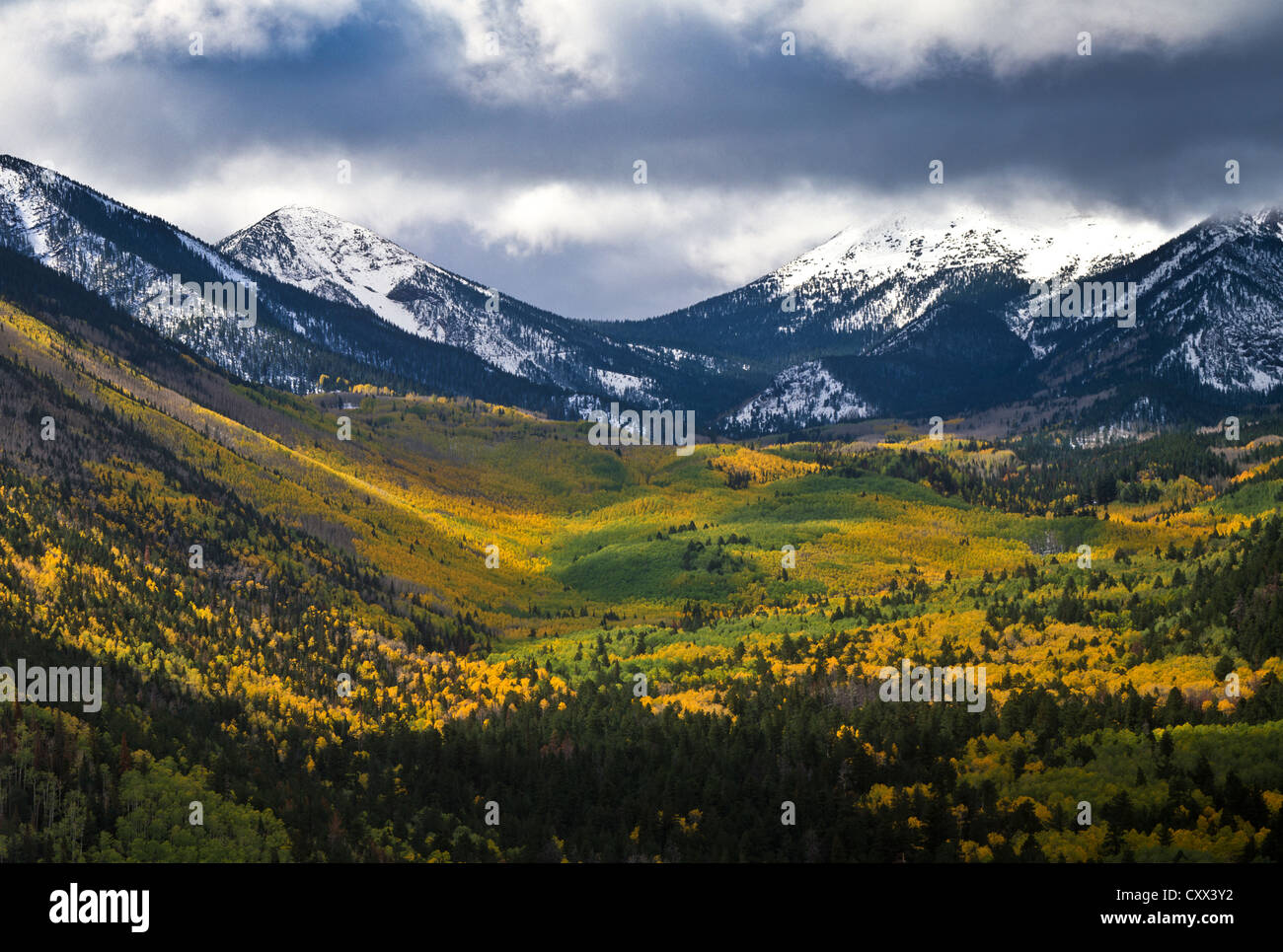 High up on Sugarloaf Mountain the view south into Lockett Meadow/Inner