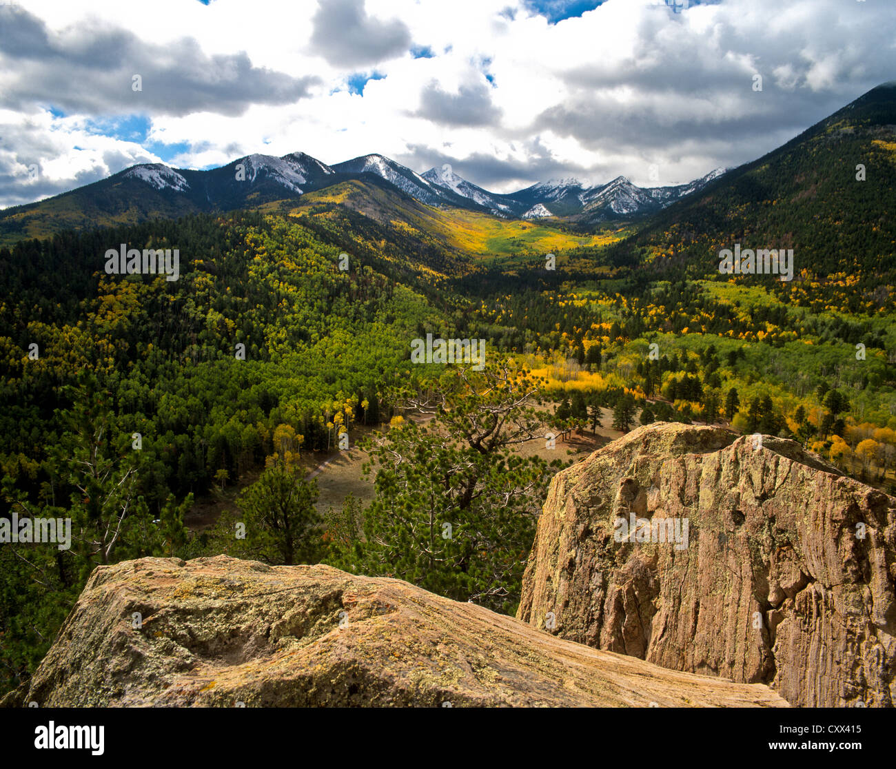 High up on Sugarloaf Mountain the view south into Lockett Meadow/Inner