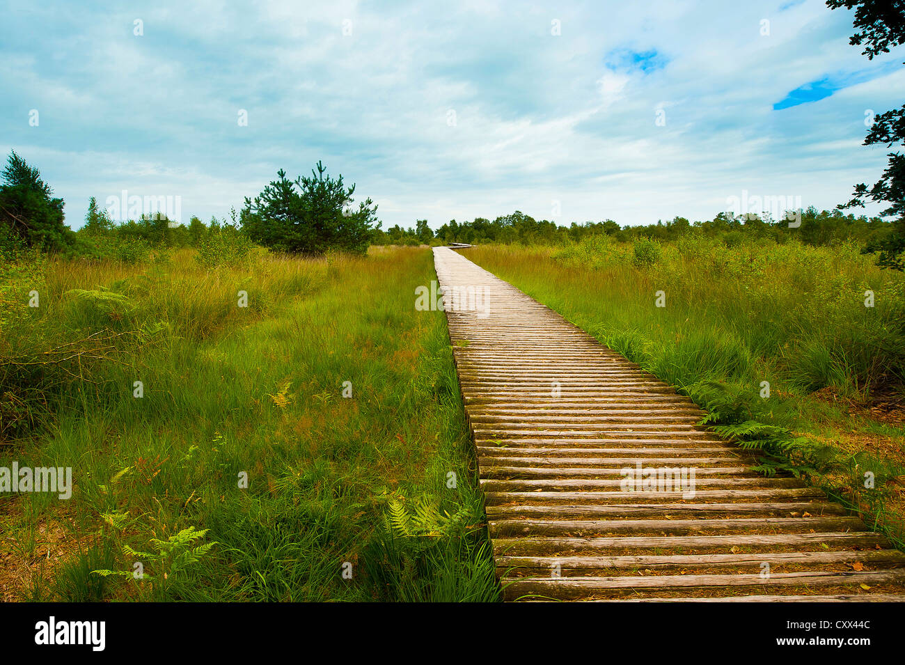 Ospel hi-res stock photography and images - Alamy