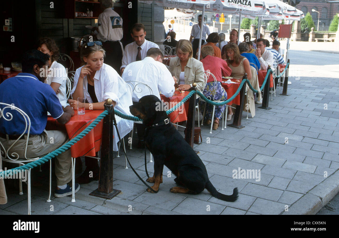 Dining out  with ones dog in Galma Stan (Old Town) Stockho;m Sweden Stock Photo