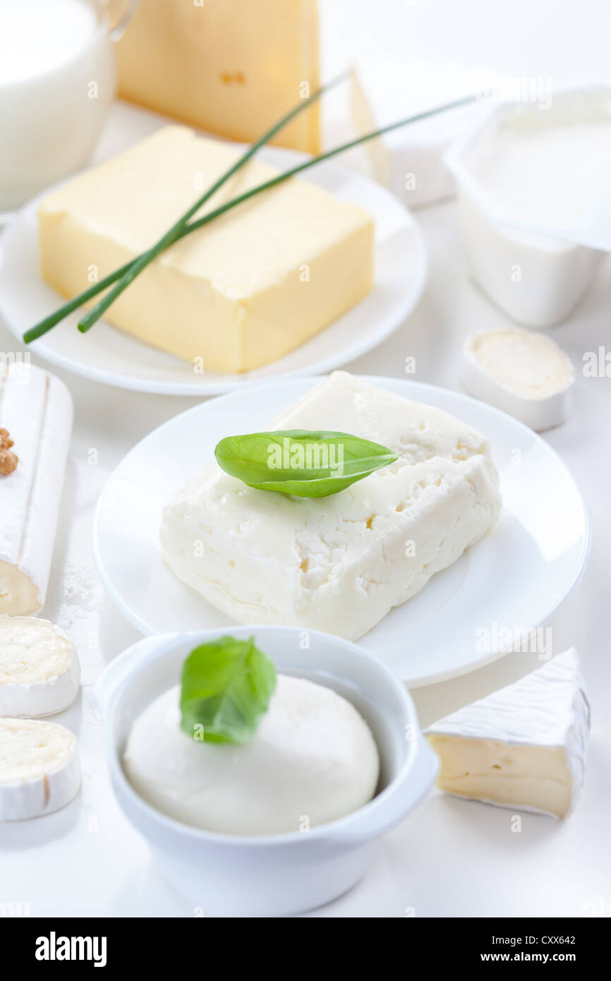 Assortment of dairy products on white background Stock Photo