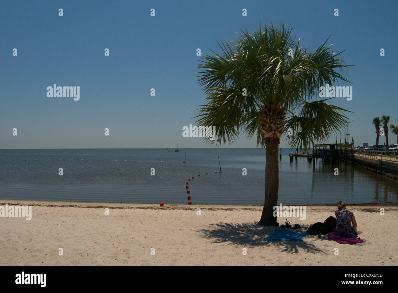 On the beach at Cedar Key Stock Photo Alamy