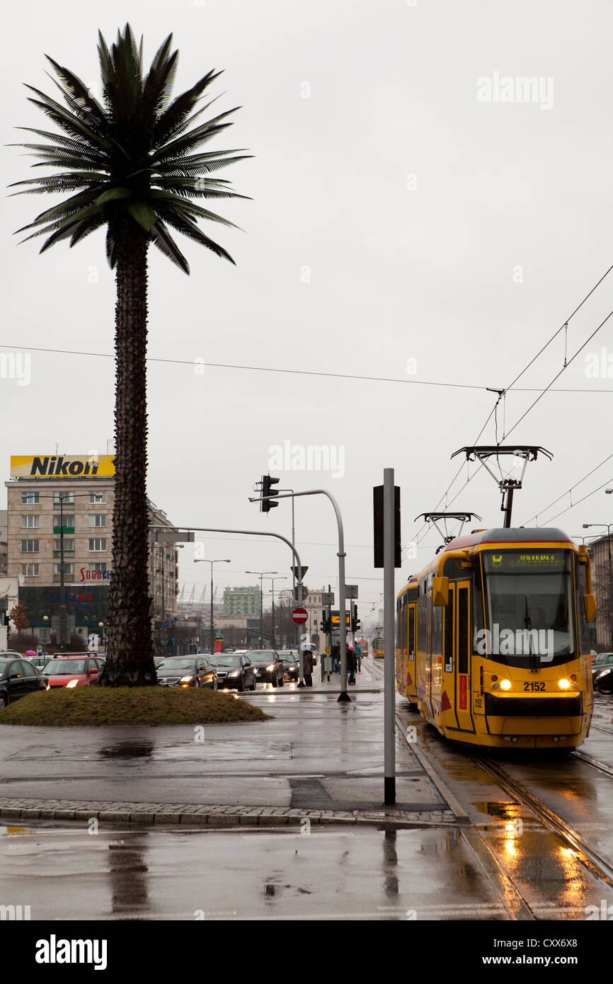 Fake palm tree hires stock photography and images Alamy