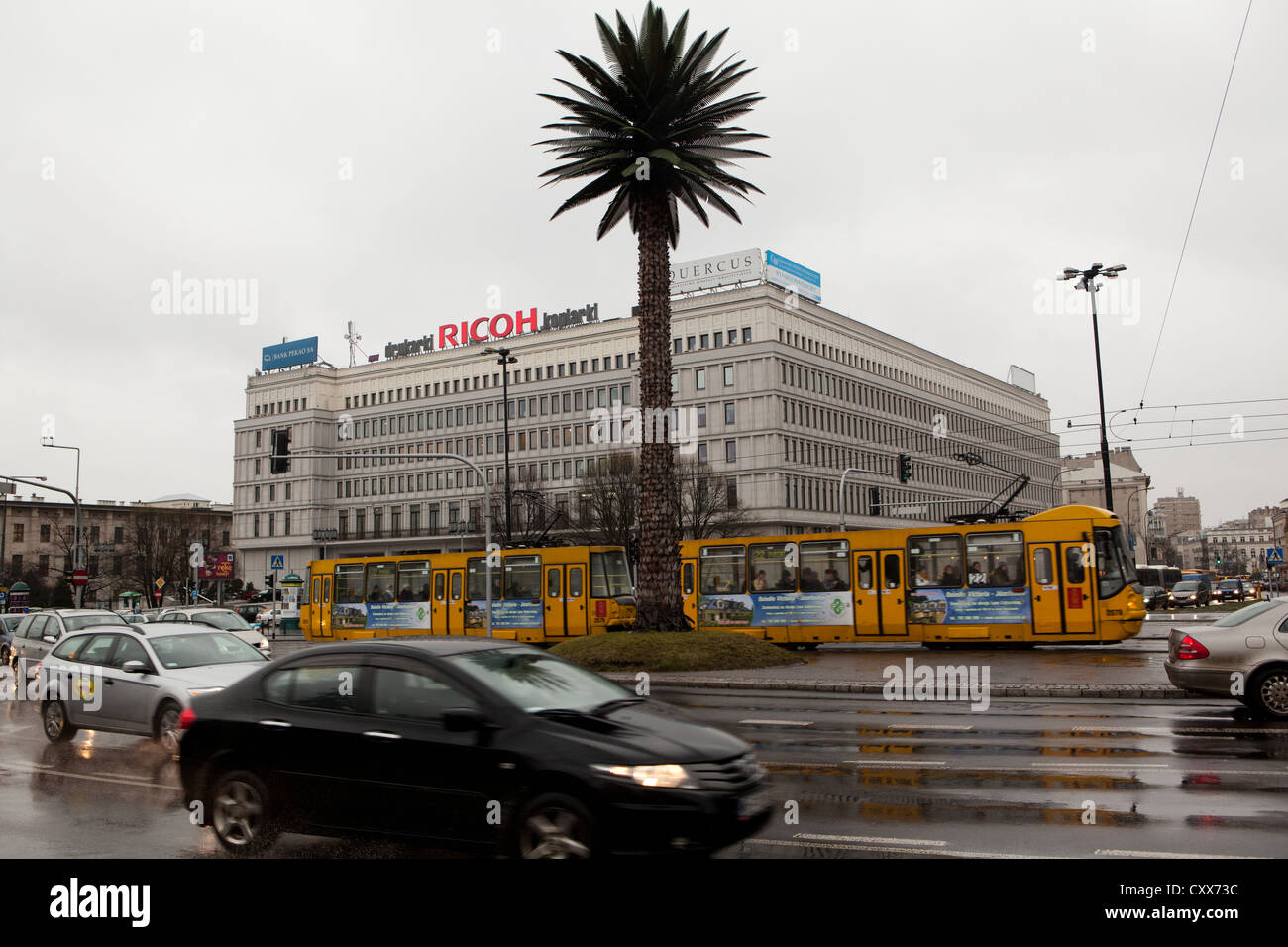 fake palm tree Warsaw Poland Stock Photo Alamy