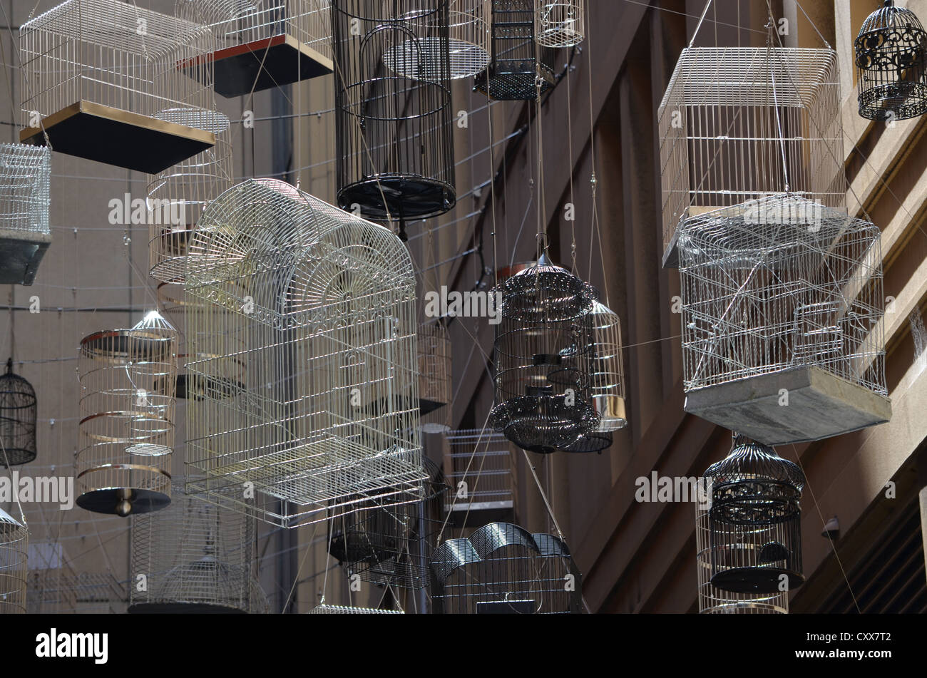 an angular exhibition of empty birdcages with an urban backdrop Stock Photo