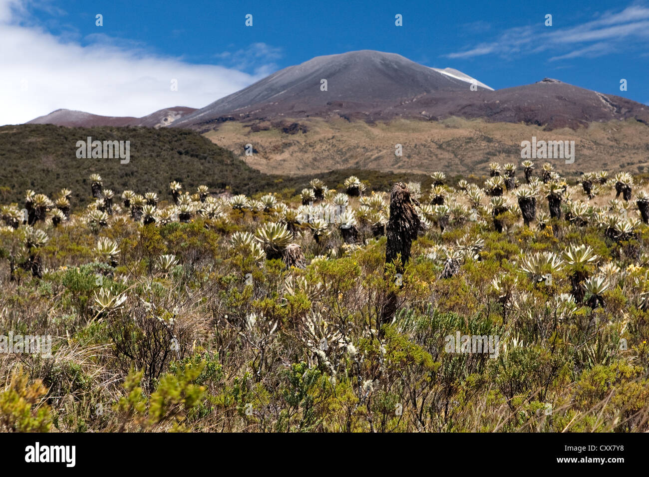 Volcano, AltiPlano, Parque de Nacional Naturales Purace, Colombia Stock ...
