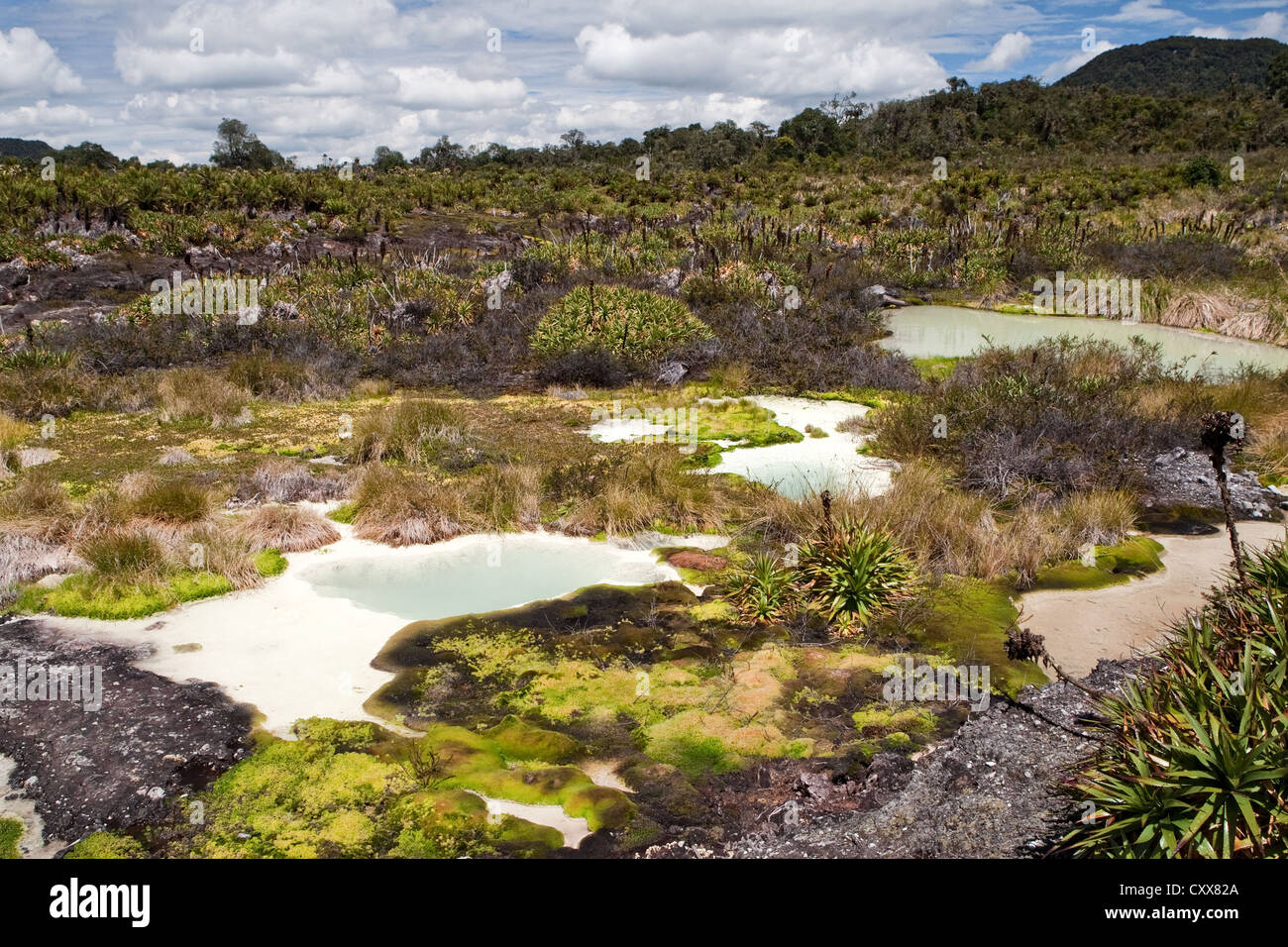 Hot sulphur springs, Volcan, Parque de Nacional Naturales Purace ...