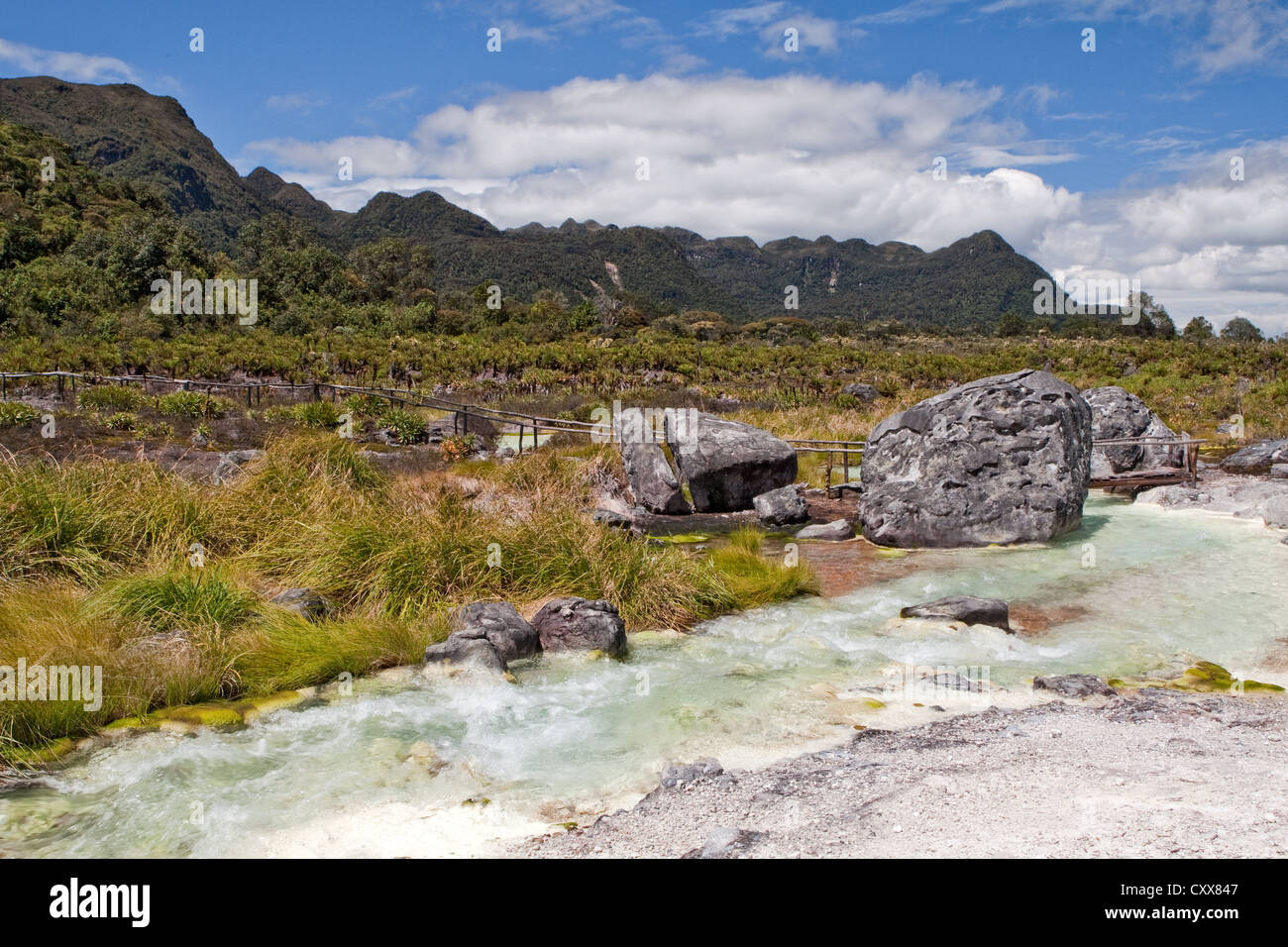 Hot sulphur springs, Volcan, Parque de Nacional Naturales Purace ...