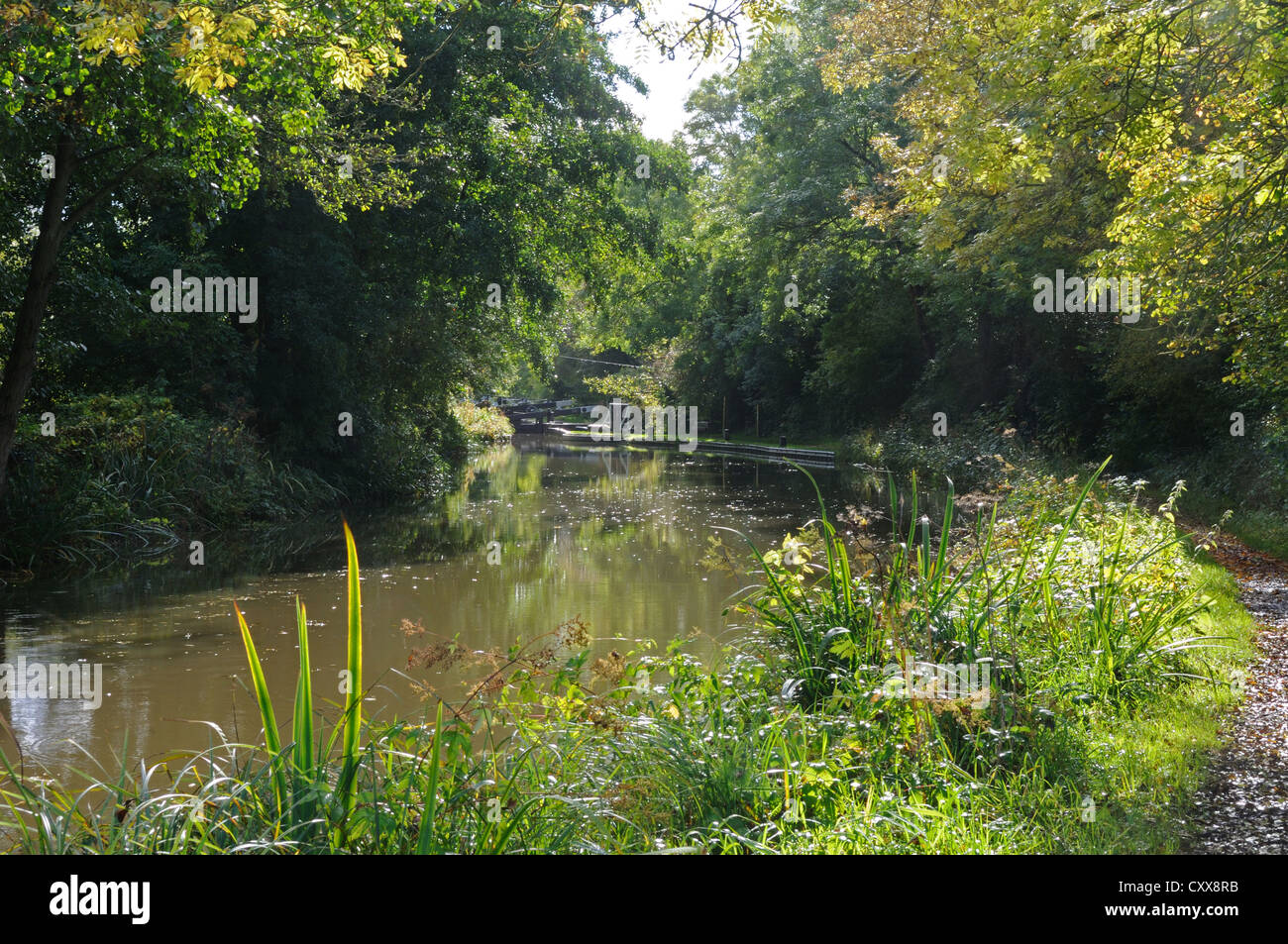 The Stratford-upon-Avon Canal above Lock No.34, near Yarningale, Warwickshire, England Stock Photo