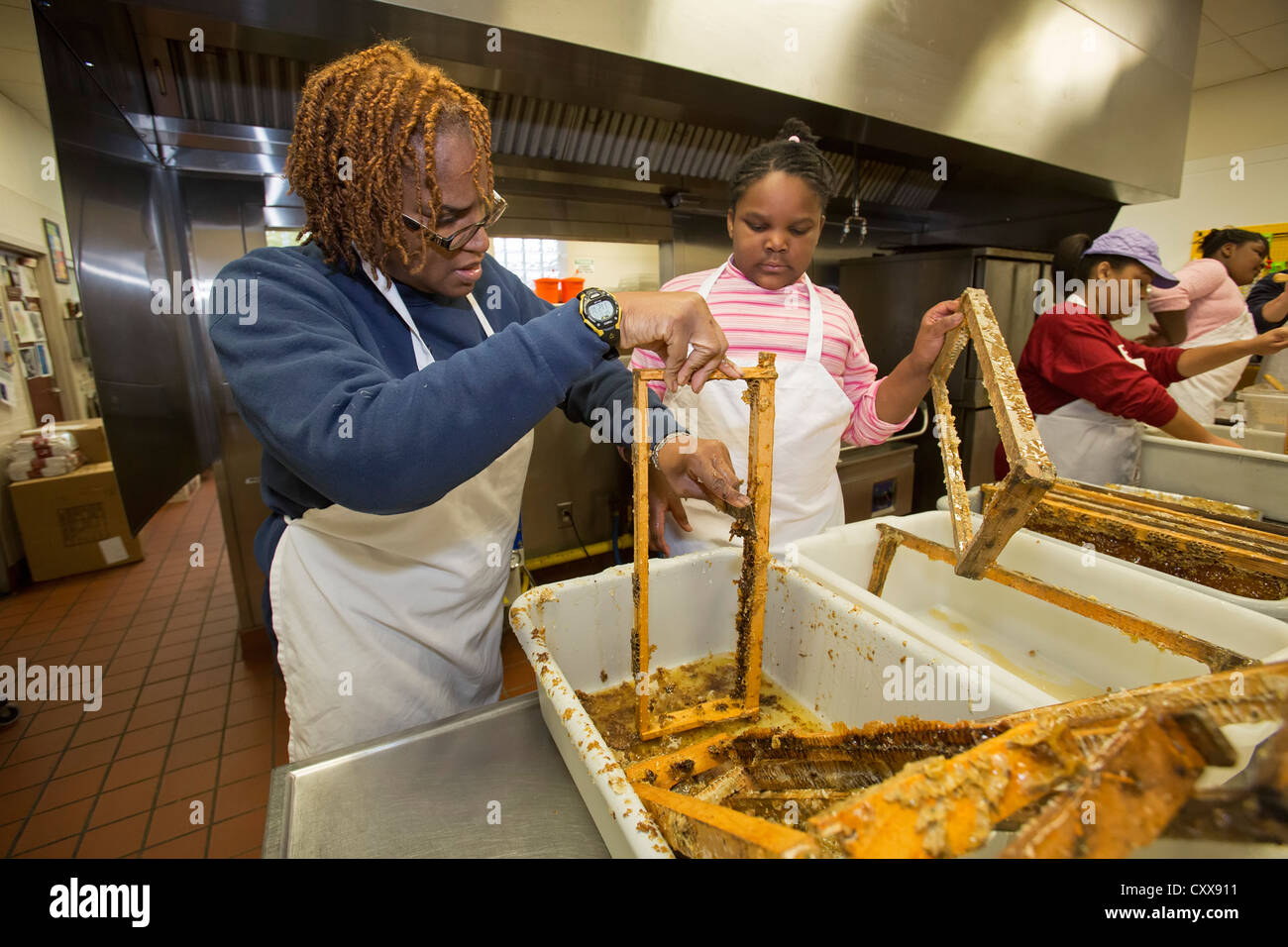 Volunteers clean bee frames after extracting honey at Earthworks Urban
