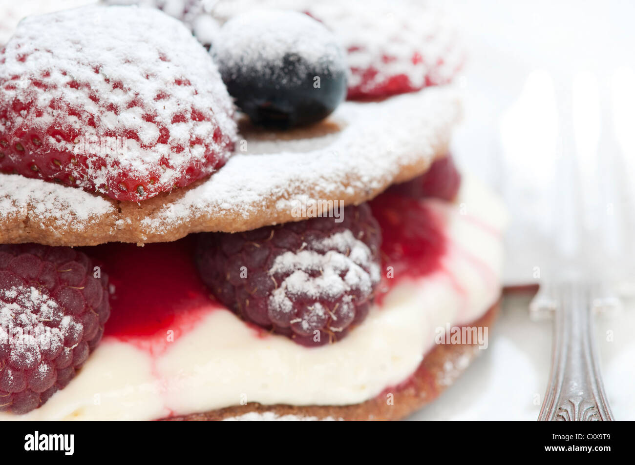 Freshly made strawberry and blueberry shortcake with confectioner's custard, cream and icing sugar frosting Stock Photo