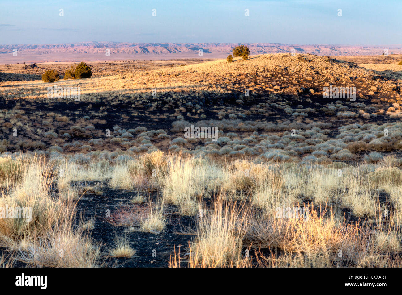 Desert landscape Stock Photo